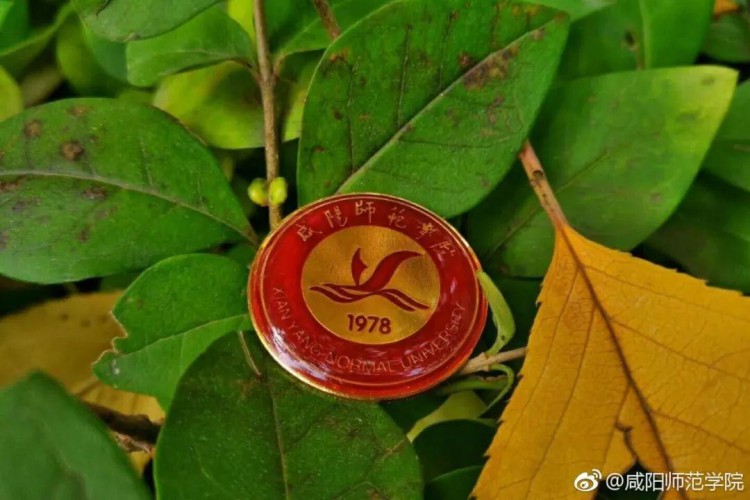 官方发布 | 咸阳师范学院2019年招生简章!